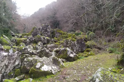 Rocce muschiate e alberi spogli nel bosco delle fate di Acquapendente, un luogo incantato dove la natura regna sovrana.