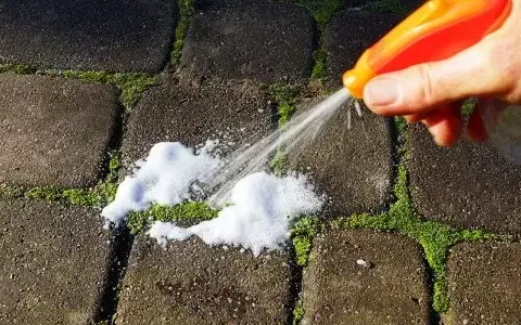 Skuteczne sposoby na usunięcie mchu z kostki brukowej bez wysiłku