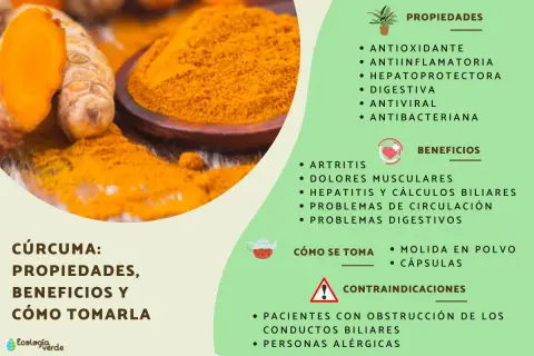 Raíz de cúrcuma y polvo dorado. La cúrcuma para la piel es un potente antioxidante y antiinflamatorio, ideal para mejorar la salud.