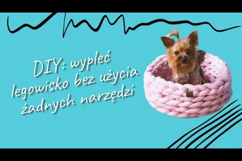 Jak zrobić legowisko dla psa z koca - proste i tanie rozwiązanie