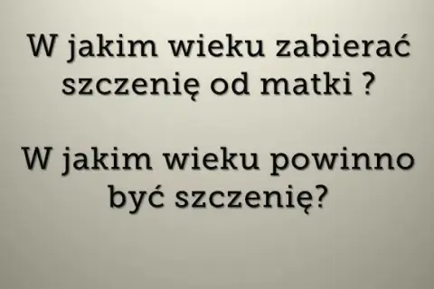 Ile szczeniak powinien być przy matce, aby uniknąć problemów zdrowotnych?