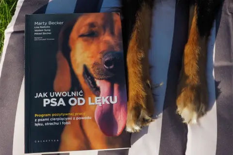 Librela dla psa: Czy to terapia na całe życie? Sprawdź!