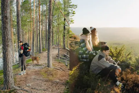 Vandrare med hund i skogen nära Umeå. Vänner njuter av utsikten över landskapet. Umeå natur i sin vackraste form.