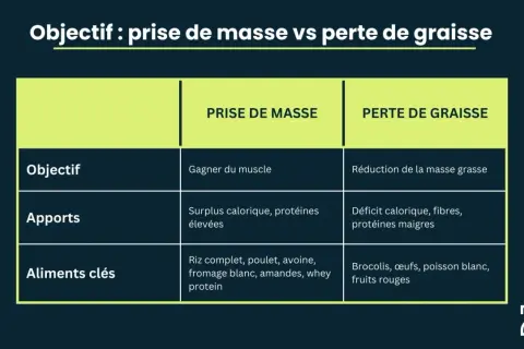 Tableau comparant la prise de masse musculaire rapide (surplus calorique, protéines élevées, riz, poulet) et la perte de graisse (déficit calorique, brocolis, poisson).