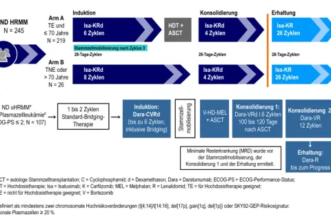 Schema zeigt Behandlungswege für multiples Myelom. Mit neuen Therapien könnte multiples Myelom bald heilbar sein.