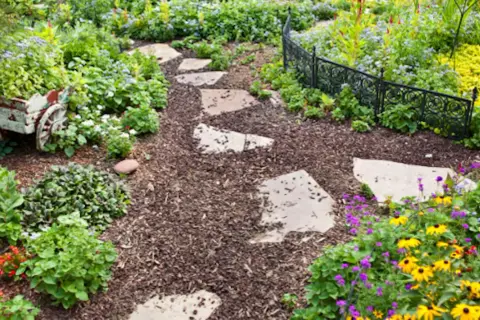 Sentiero in pietra attraverso un giardino fiorito, con pacciamatura che ne evidenzia il significato di cura e bellezza naturale.