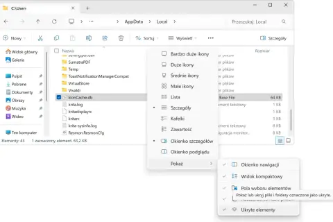 W Eksploratorze plików Windows, menu "Wyświetl" pokazuje opcje widoku. Wybrano "Szczegóły", a podmenu "Pokaż" zawiera opcje takie jak "Okienko nawigacji". Żądane zasoby są w użyciu.