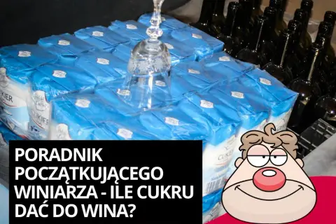 Ile cukru na 5l wina? Oblicz idealną ilość dla mocnego trunku