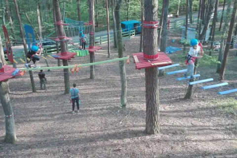 Park Linowy Zalesie Górne: Trasy, Ceny, Bezpieczeństwo Rodzinna Przygoda!