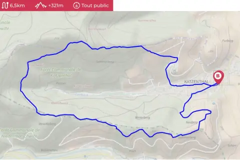 Carte topographique montrant un itinéraire de randonnée de 6,5 km autour de Katzenthal. L'option pour ouvrir fichier gpx est visible.