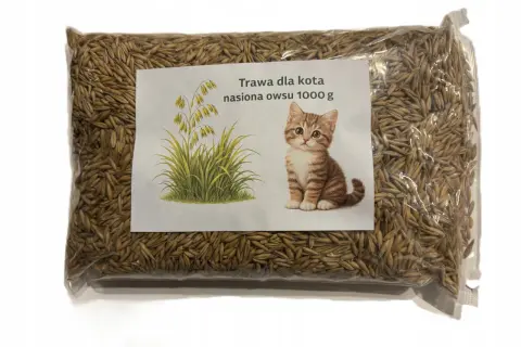 Owies dla kota: Bezpieczny dodatek? Sprawdź, zanim podasz!