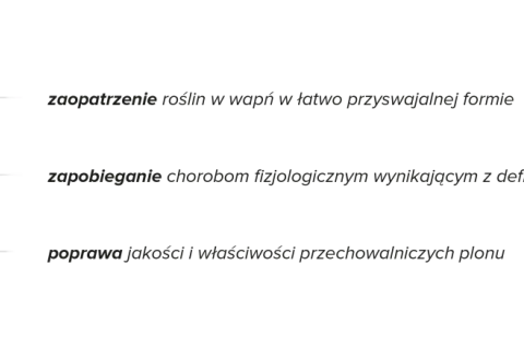 Wapnovit Turbo dawkowanie: zaopatrzenie roślin w wapń, zapobieganie chorobom i poprawa jakości plonu.