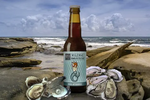 Birra Wildwad Kombu Oyster Stout con ostriche e perla su scogli marini.