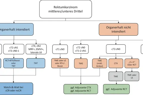 Flussdiagramm zu Rektumkarzinom Stadien: Organerhalt intendiert vs. nicht intendiert, mit Therapieoptionen je nach Tumorstadium (cT/cN).