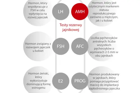 AMH to marker płodności. Czy AMH może wzrosnąć? Wykres przedstawia hormony i wskaźniki rezerwy jajnikowej.