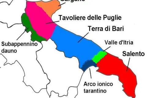 Mappa colorata che mostra dove si trova la Puglia, con le sue regioni: Gargano, Tavoliere, Terra di Bari, Valle d'Itria, Salento, Arco ionico tarantino e Subappennino dauno.