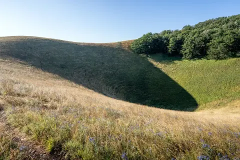 Sentiero sul Monte Subasio, tra erba dorata e un'ombra profonda che invita a scoprire cosa vedere in questo paesaggio naturale.