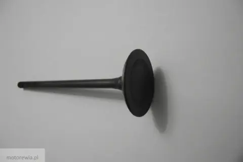 Zawór silnika z widocznymi śladami zużycia. Podparty zawór objawy mogą wskazywać na problemy z pracą silnika.