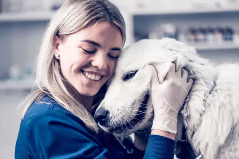 Veterinaria abraza a un perro blanco, brindando consuelo ante la ataxia en perros.