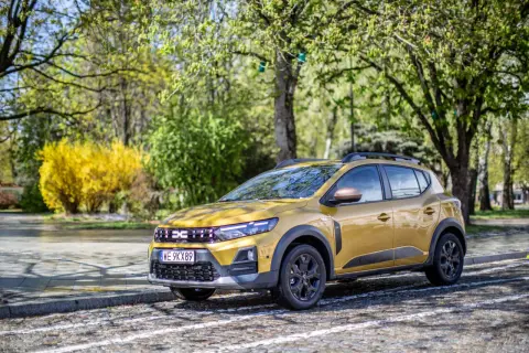 Złoty Dacia Sandero Stepway zaparkowany na brukowanej drodze, otoczony zielenią i kwitnącym krzewem.