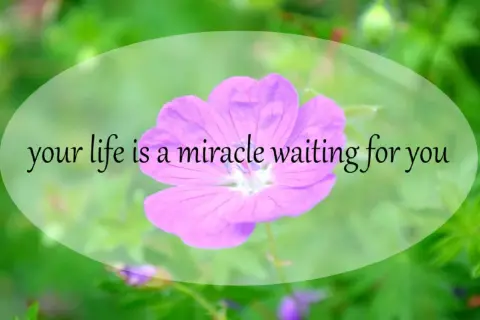 Różowy kwiat na zielonym tle. Napis: "your life is a miracle waiting for you". Twoje życie to cud, który na Ciebie czeka.