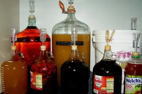Wiele balonów z winem i nastawami. Zastanawiasz się, ile drożdży na 5 litrów wina? Tutaj fermentuje różne domowe trunki.