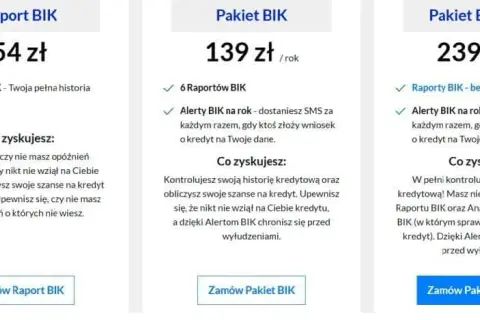 Twój BIK: Jak sprawdzić zadłużenie i co z niego wyczytać?