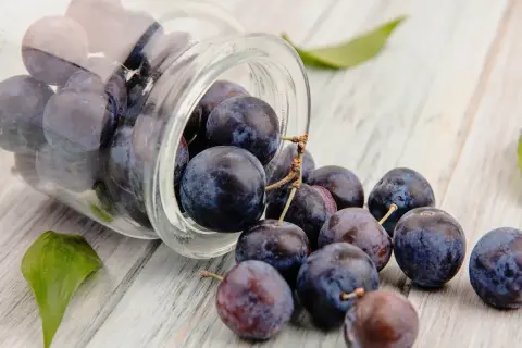 Frische Pflaumen rollen aus einem Glas. Sie sind reich an Antioxidantien, die die resveratrol wirkung unterstützen können.