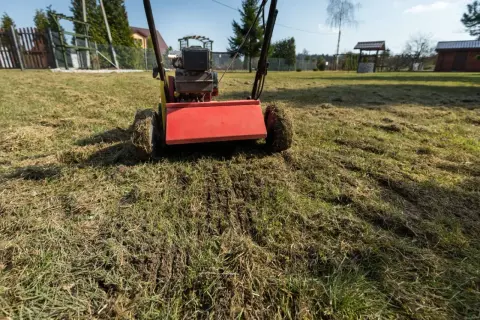 Wertykulator z czerwonym elementem pracuje na trawniku, usuwając filc. Idealny czas, kiedy wertykulować trawnik, to wiosna lub jesień.