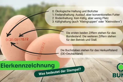 Eierkennzeichnung erklärt: Die Zahlen geben Haltungsform (0-3), Bundesland & Stall an. DE steht für Deutschland. Infos zu Eier ab Hof Verkauf Vorschriften.