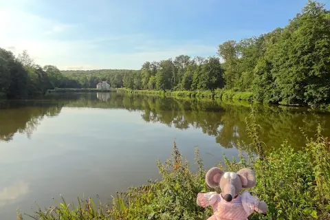 Une souris en robe rose profite d'une balade en forêt autour de moi, au bord d'un lac paisible reflétant un château.