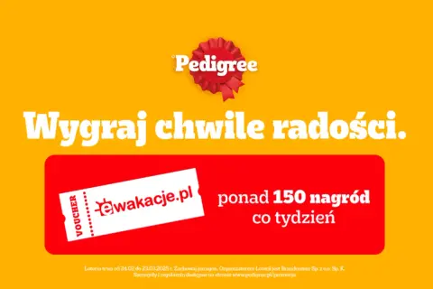 Konkursy i loterie: poznaj różnice i uniknij kosztownych błędów