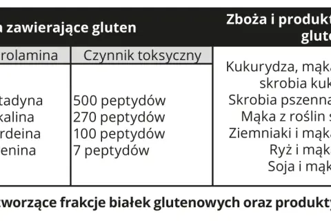 Mąka żytnia a celiakia: Gluten, fakty i alternatywy