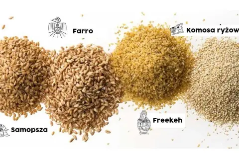 Jakie zboże dla gęsi zapewni im zdrowie i dobrą kondycję?