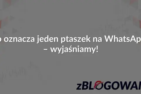 Co oznacza jeden ptaszek na WhatsApp? Wyjaśniamy! Tło z wykresami i logo zBLOGOWANI.