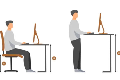 Illustrazione mostra un uomo seduto e in piedi al computer, con frecce che indicano le altezze. Aiuta a capire qual è l'altezza del piano di lavoro ideale.