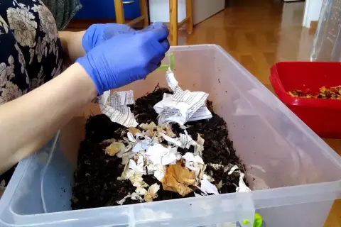 Jak założyć hodowlę dżdżownic i uniknąć najczęstszych błędów
