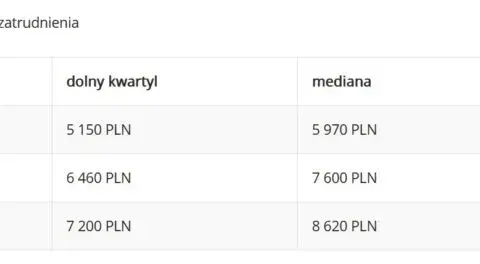 Spedytor międzynarodowy: Co robi, ile zarabia i czy to zawód dla Ciebie?