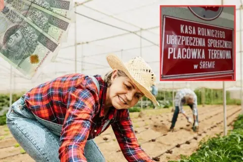 Rolniczka w szklarni, symbolizująca ciężką pracę, z banknotami 100 zł i tablicą KRUS. Ile wynosi emerytura rolnicza po 40 latach pracy?