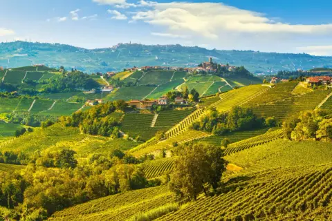 Colline ondulate dei paesi delle Langhe, ricoperte da vigneti dorati e punteggiate da casali in pietra sotto un cielo azzurro.