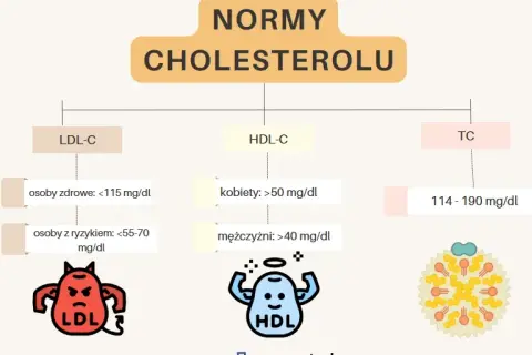 Skuteczne obniżanie cholesterolu: Leki Rx i OTC co musisz wiedzieć?