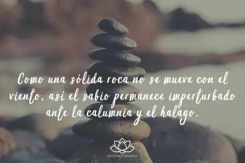Piedras apiladas con frases de Buda: "Como una sólida roca no se mueve con el viento, así el sabio permanece imperturbado ante la calumnia y el halago.