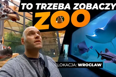 Czy afrykarium i oceanarium to to samo? Poznaj zaskakujące różnice