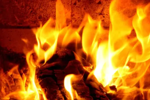 Glühende Flammen tanzen um Douglasie-Brennholz im Kamin. Wärme und Gemütlichkeit breiten sich aus.