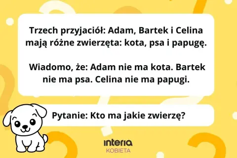 Rozwiąż zagadkę: kłiz o genzie. Adam, Bartek i Celina mają kota, psa i papugę. Kto ma jakie zwierzę?