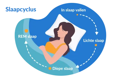 Illustratie van een vrouw die slaapt, met de slaapcyclus: in slaap vallen, lichte slaap, diepe slaap en REM slaap. Zelfs met 5 uur slaap doorloopt het lichaam deze fasen.