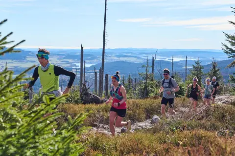Gruppe von Läufern beim trailrunning training in bergiger Landschaft mit Blick auf ein Tal.