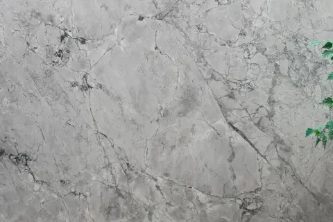 Szara powierzchnia z żyłkami, przypominająca naturalny **dolomit**. Po prawej stronie widać fragment zielonych liści.