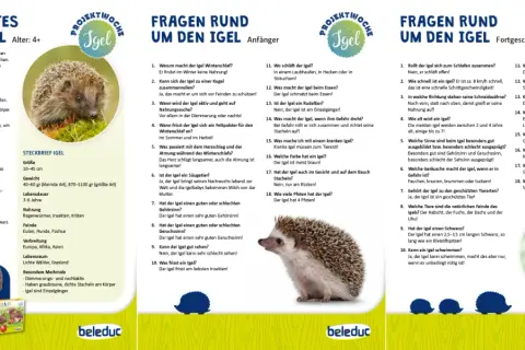 Ein niedlicher Igel sitzt auf einer Hand, umgeben von Informationen über den Igel-Kindergarten und Fragen rund um den Igel.