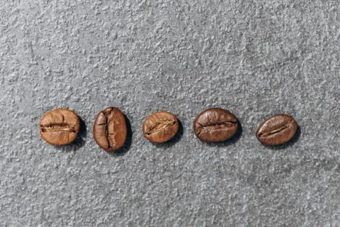 Pięć ziaren kawy na szarym tle. Różnice między arabica a robusta są widoczne w ich kształcie i teksturze.